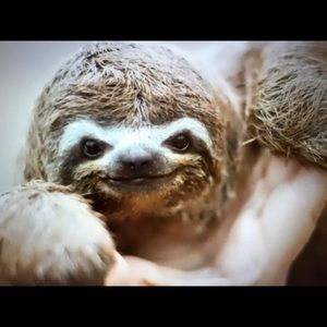 Meet your Posher, Becky